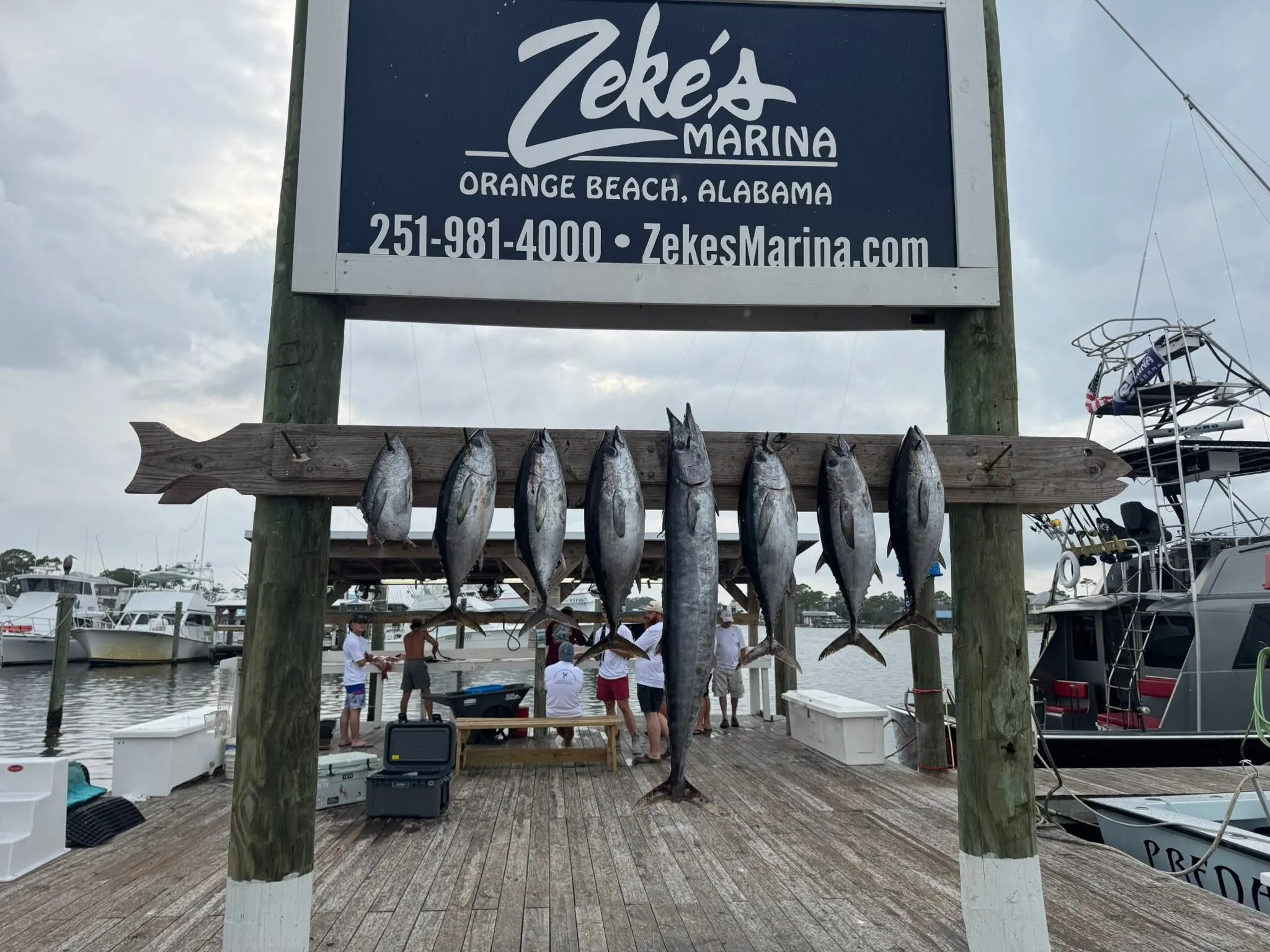 Deep sea fishing action aboard Deep South Charters Orange Beach Alabama