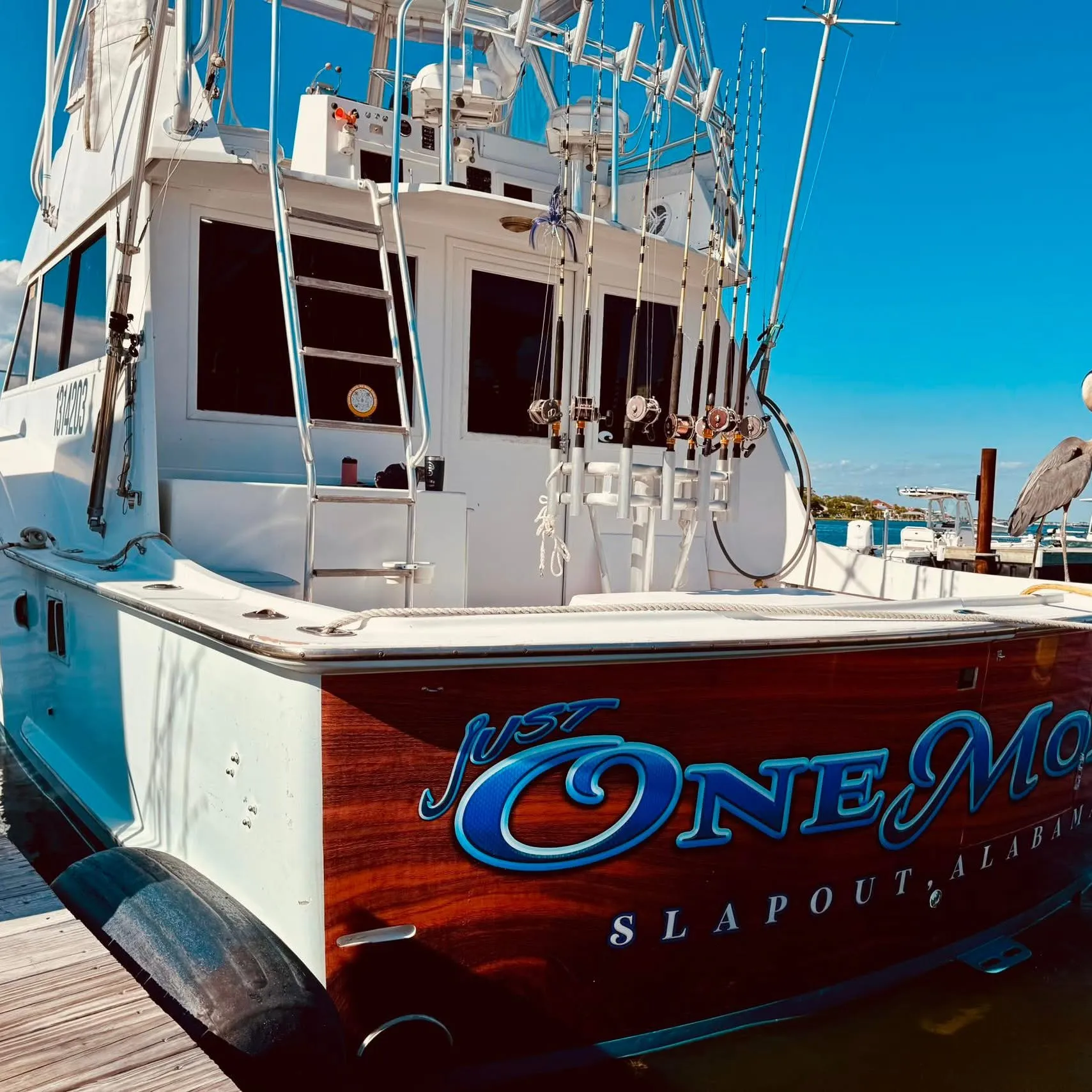 Private charter cruise from Zekes Marina Orange Beach Alabama